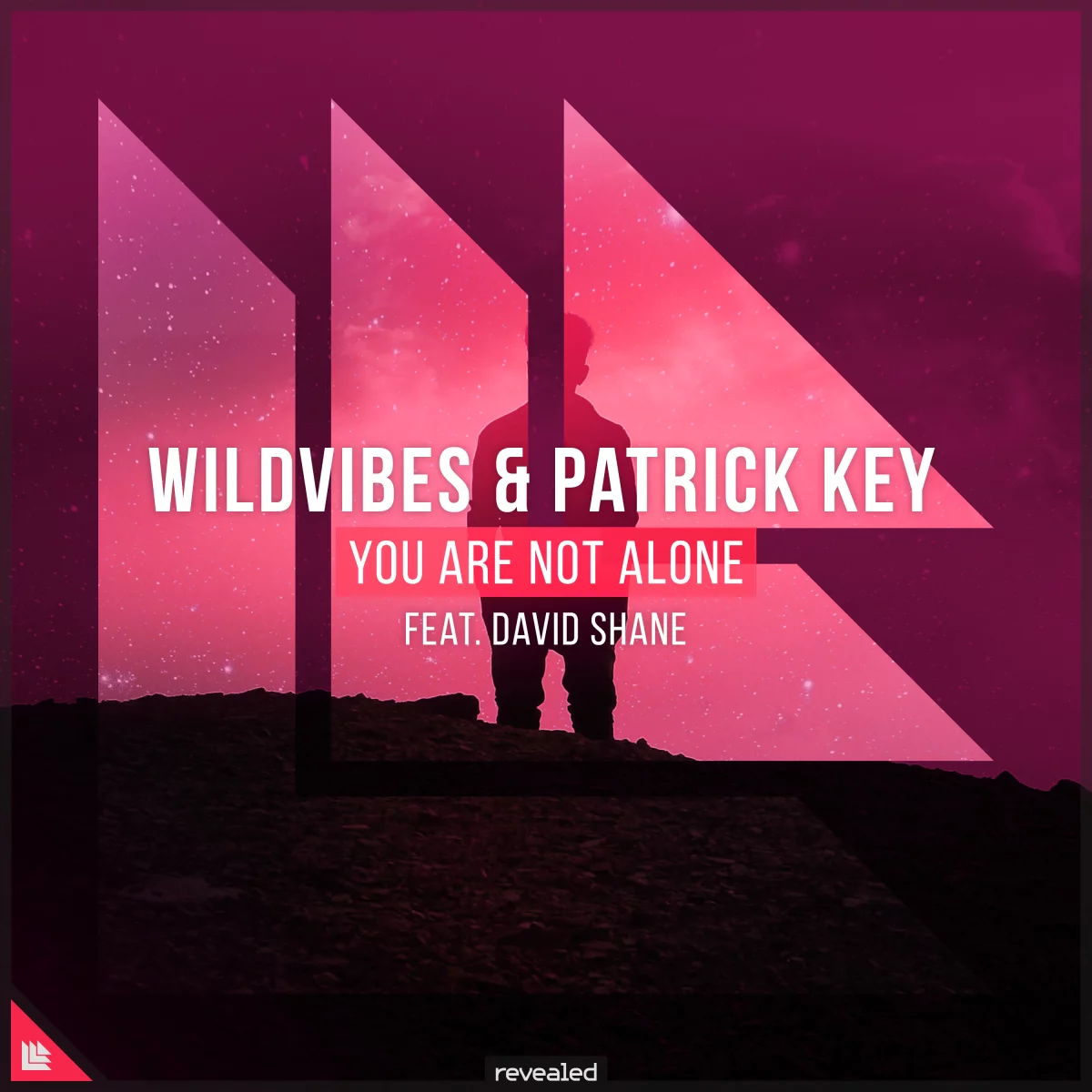 You Are Not Alone  - Wildvibes⁠ & Patrick Key⁠ ⁠feat. David Shane⁠ 