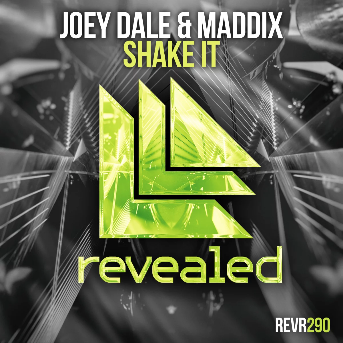 Shake It  - Joey Dale⁠ & Maddix⁠