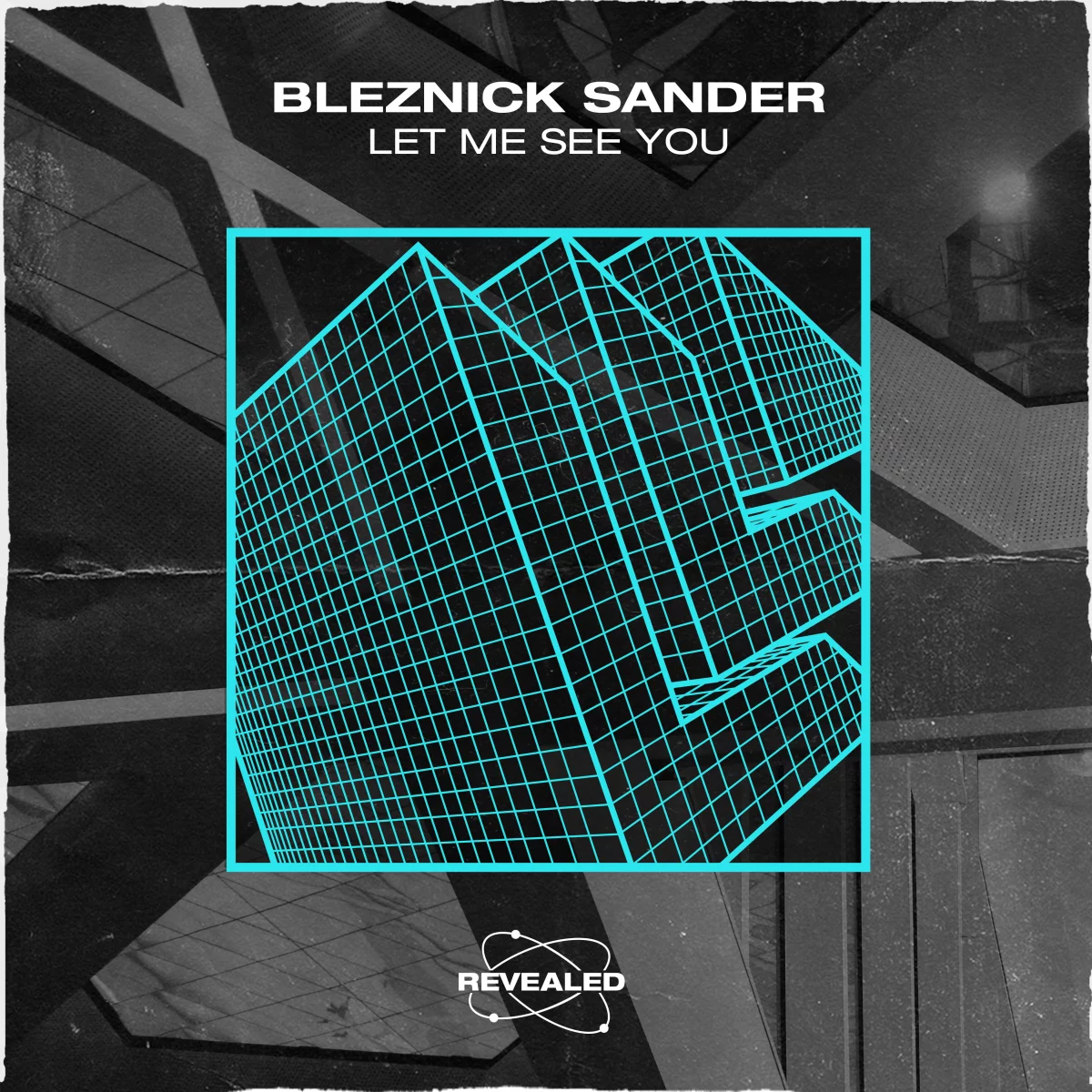 Let Me See You - Bleznick Sander⁠ 