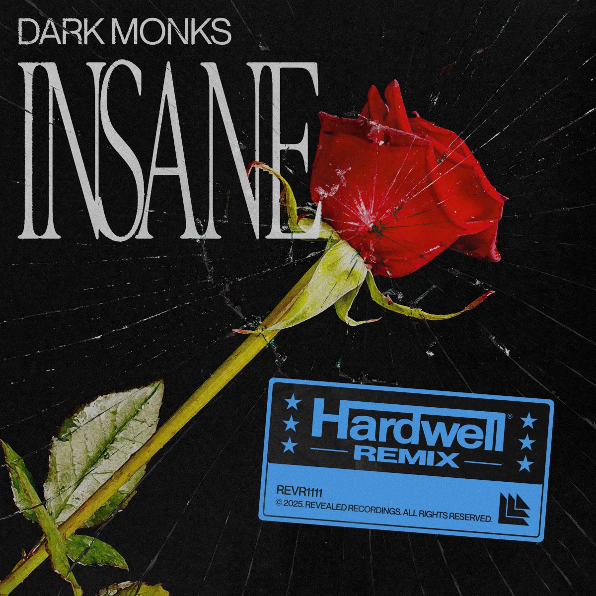 Insane (Hardwell Remix) - Dark Monks⁠ & Hardwell⁠ 