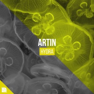 Hydra  - ARTIN 