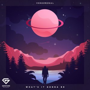 What's It Gonna Be - Venomenal