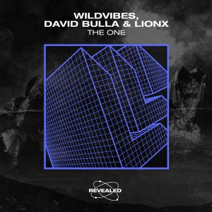 The One - Wildvibes David Bulla LionX