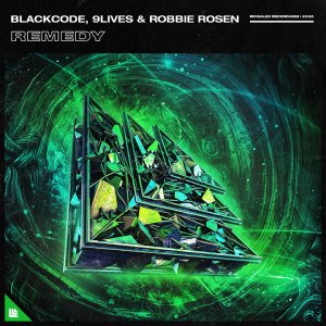 Remedy - Blackcode, 9Lives & Robbie Rosen