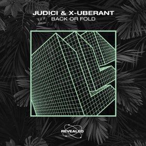 Back Or Fold - judicimusic & X-UBERANT