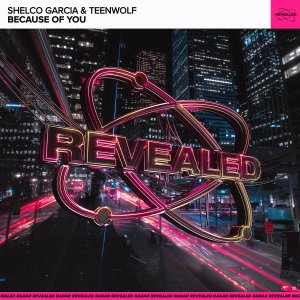 Because Of You - Shelco Garcia & Teenwolf