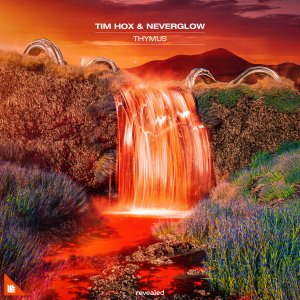 Thymus - Tim Hox & Neverglow