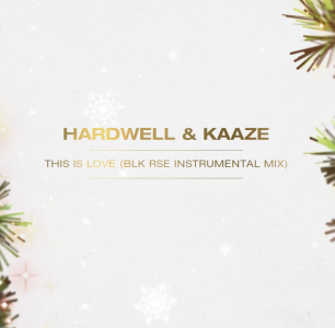 This Is Love (BLK RSE Instrumental Remix) - KAAZEMAS 2021