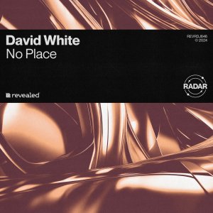 No Place - DAVID WHITE
