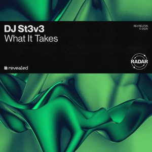 What It Takes - DJ ST3V3