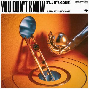 You Don't Know (Till It's Gone) - Sebastian Knight 
