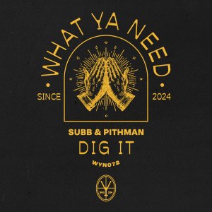 Dig It - SUBB & Pithman